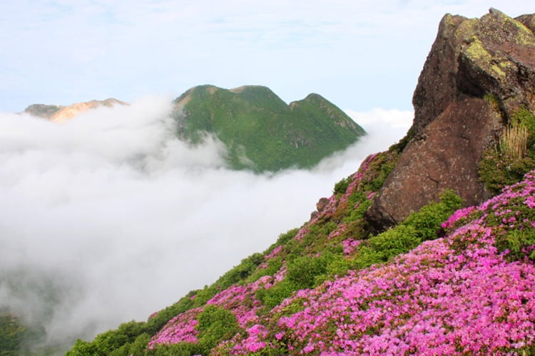 写真:執筆者ぷーさんが撮影した九重連山