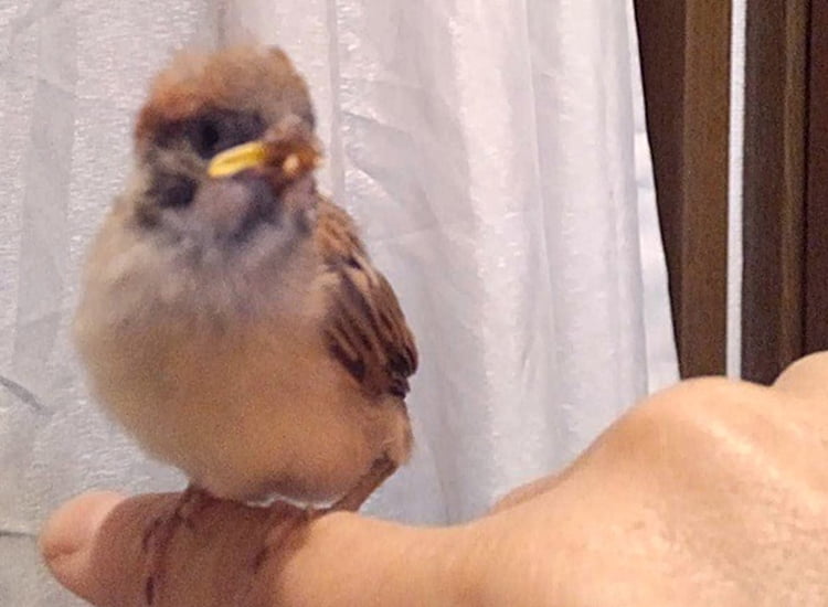 写真:執筆者ぼのさんが撮影したチィちゃん